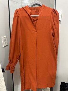 Long Sleeve Shift Dress in Burnt Orange